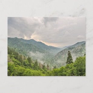 Carte Postale Newfound Gap, Great Smoky Mountains National Park