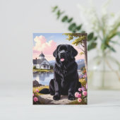 Carte Postale Newfoundland Dog (Debout devant)