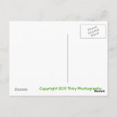 Carte Postale Newkirk 2 (Dos)