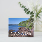 Carte Postale Newman Sound Horizontal (Debout devant)