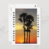 Carte postale Newport Beach (Devant / Derrière)