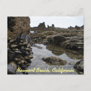 Carte Postale Newport Beach Muscles