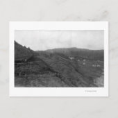 Carte Postale Newport, Oregon Scene at Agate Beach Photographie (Devant)