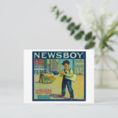 Carte Postale Newsboy Orange LabelRedlands, CA (Debout devant)