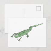 Carte Postale Newt (Devant / Derrière)