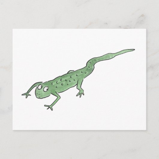 Carte Postale Newt (Devant)