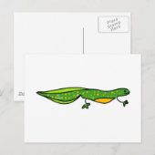 Carte Postale newt (Devant / Derrière)