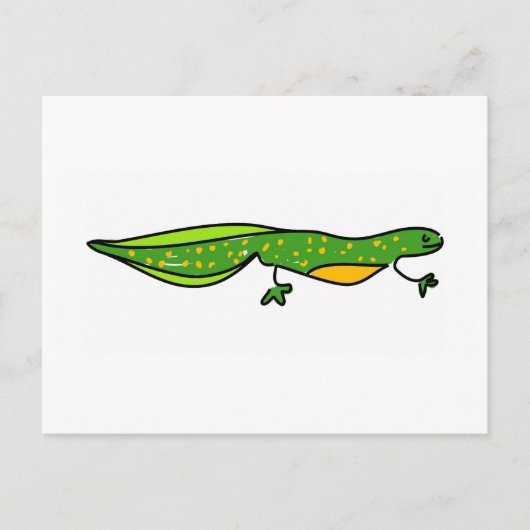 Carte Postale newt (Devant)