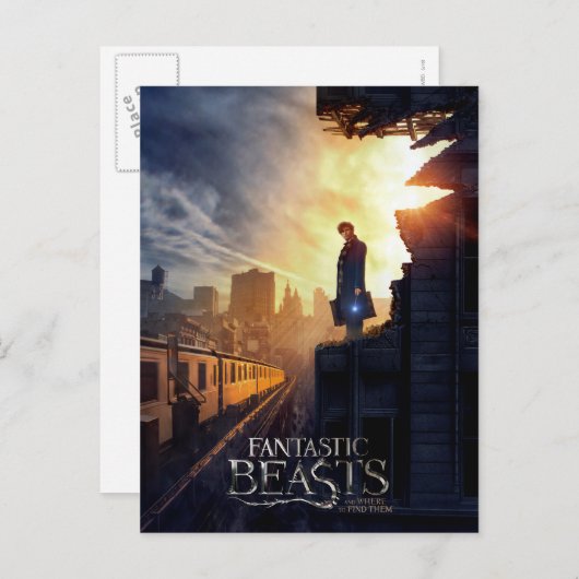 Carte Postale NEWT SCAMANDER™ dans un bâtiment détruit (Devant / Derrière)