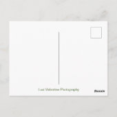 Carte Postale Newton's Cradle (Dos)