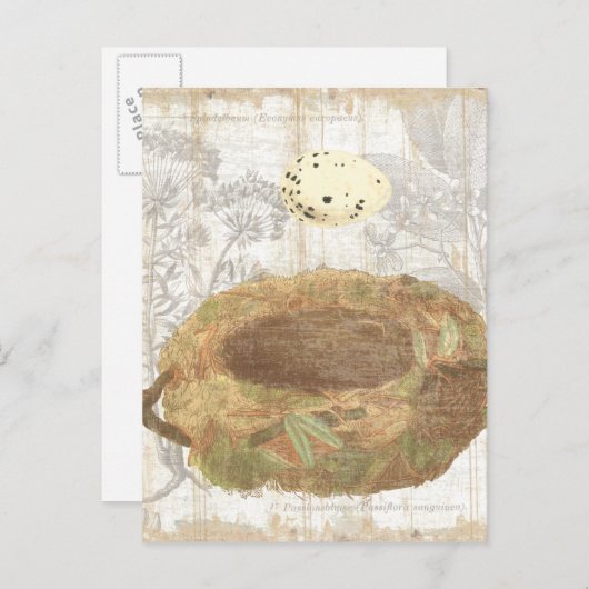 Carte Postale Nez avec un oeuf moucheté (Devant / Derrière)