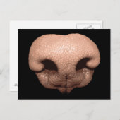 Carte Postale Nez de chien géant (Devant / Derrière)