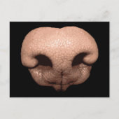 Carte Postale Nez de chien géant (Devant)