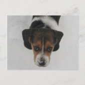 Carte Postale Nez gelé (Devant)