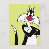 Nez rouge SYLVESTER™