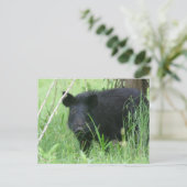 Carte Postale Nez sale (Debout devant)