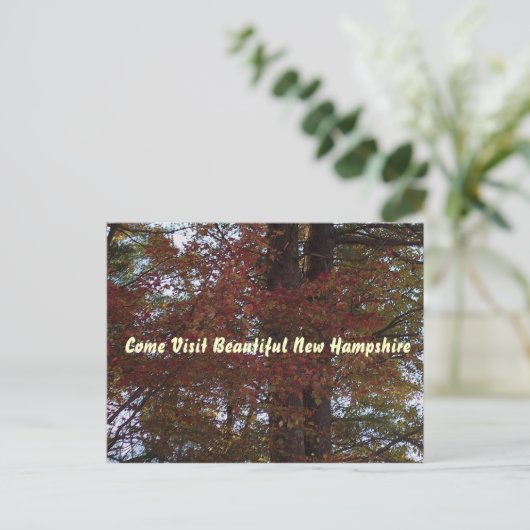 Carte postale NH (Debout devant)