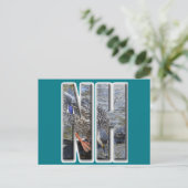 CARTE POSTALE NH NEW HAMPSHIRE (Debout devant)