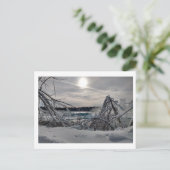 Carte Postale Niagara en hiver 2 (Debout devant)