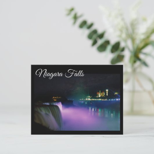 Carte postale Niagara Falls 21 (Debout devant)