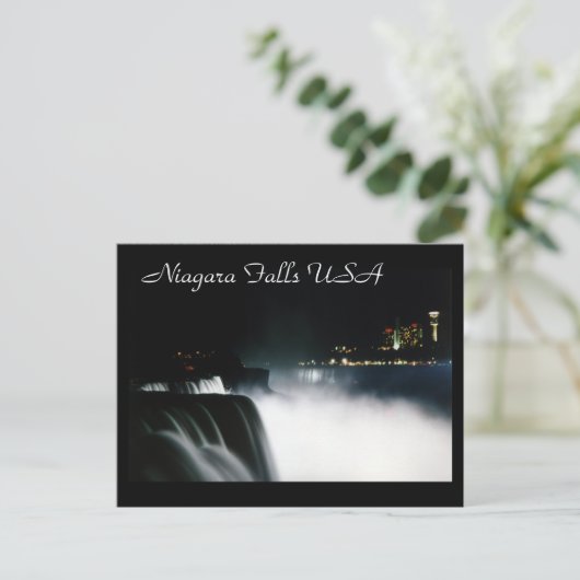 Carte postale Niagara Falls USA 21 (Debout devant)