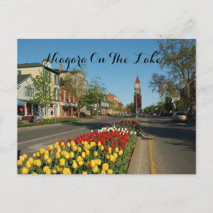 CARTE POSTALE NIAGARA TOMBE