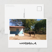 Carte Postale Nicaragua (Devant / Derrière)