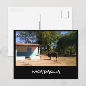 Carte Postale Nicaragua (Devant / Derrière)