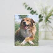 Carte Postale Nicholas (Debout devant)