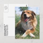 Carte Postale Nicholas (Devant / Derrière)