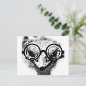 Carte Postale Nicolaus l'autruche en noir et blanc graphique (Debout devant)