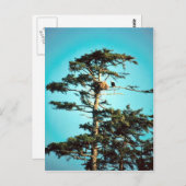 Carte Postale Nid d'aigle (Devant / Derrière)