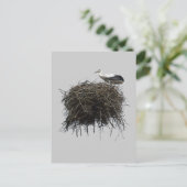Carte Postale nid de cigogne (Debout devant)