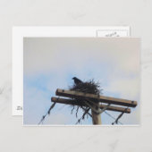 Carte Postale Nid de corbeaux à Ak (Devant / Derrière)