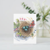 Carte Postale Nid de rouge-gorge (Debout devant)