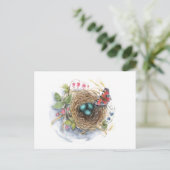 Carte Postale Nid de Rouge-Gorge (Debout devant)