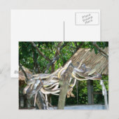 Carte Postale Nid de serpent (Devant / Derrière)