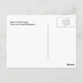 Carte Postale Nid D'Oeufs Robins (Dos)