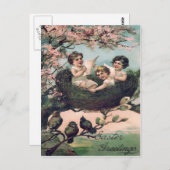 Carte Postale Nid d'oiseau mignon (Devant / Derrière)