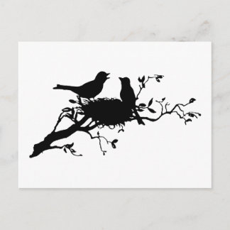Carte Postale Nid d'oiseaux