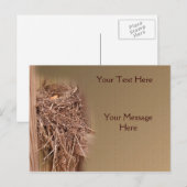 Carte Postale Nid D'Oiseaux Dans La Nature De La clôture (Devant / Derrière)