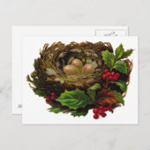 Carte Postale Nid d'oiseaux d'hiver (Devant / Derrière)