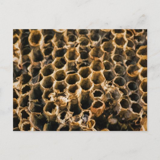 Carte Postale Nid vide (Devant)