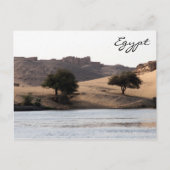 Carte Postale nids (Devant)