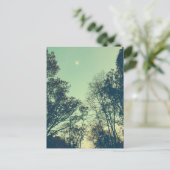 Carte Postale Night (Debout devant)