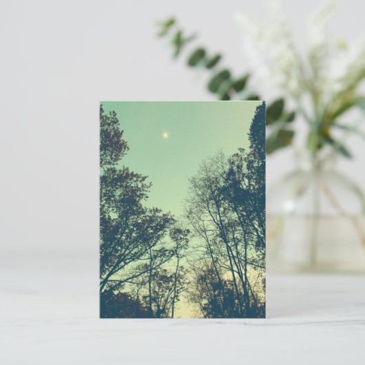 Carte Postale Night (Debout devant)