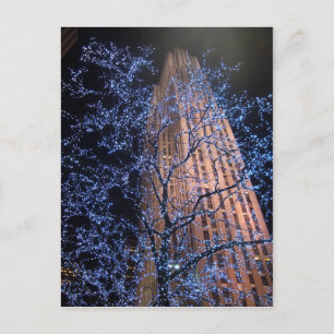 Carte Postale Night Walk CricketDiane