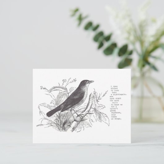 Carte Postale nightingale (Debout devant)