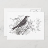 Carte Postale nightingale (Devant / Derrière)