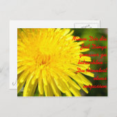 Carte Postale Nimm Dir die Zeit Dinge genauer zu b... (Devant / Derrière)